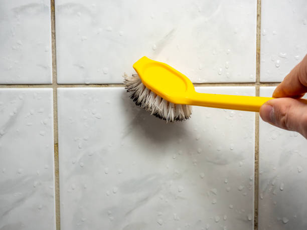 Best Commercial Mold Remediation in Upper Lake, CA